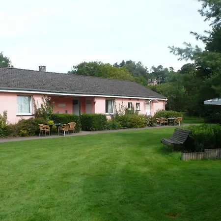 Le Bonheur De Sy